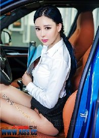 沈阳到北京动车在线_沈阳到北京飞机资料